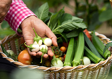 Título de Artículo