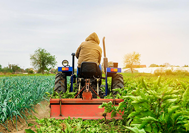 Título de Artículo