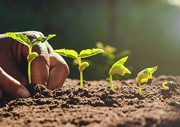 Título de Artículo