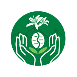 Alefox HTML Template